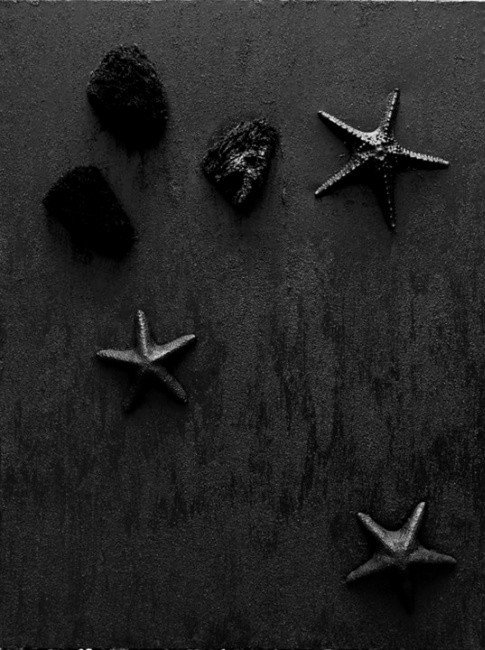 The black sea